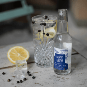 Tonic Fleur de Sureau BIO - Hysope