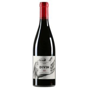 Divin Croisille 2020 - Château Les Croisille